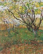 Vincent Van Gogh Flowering Orchard USA oil painting artist